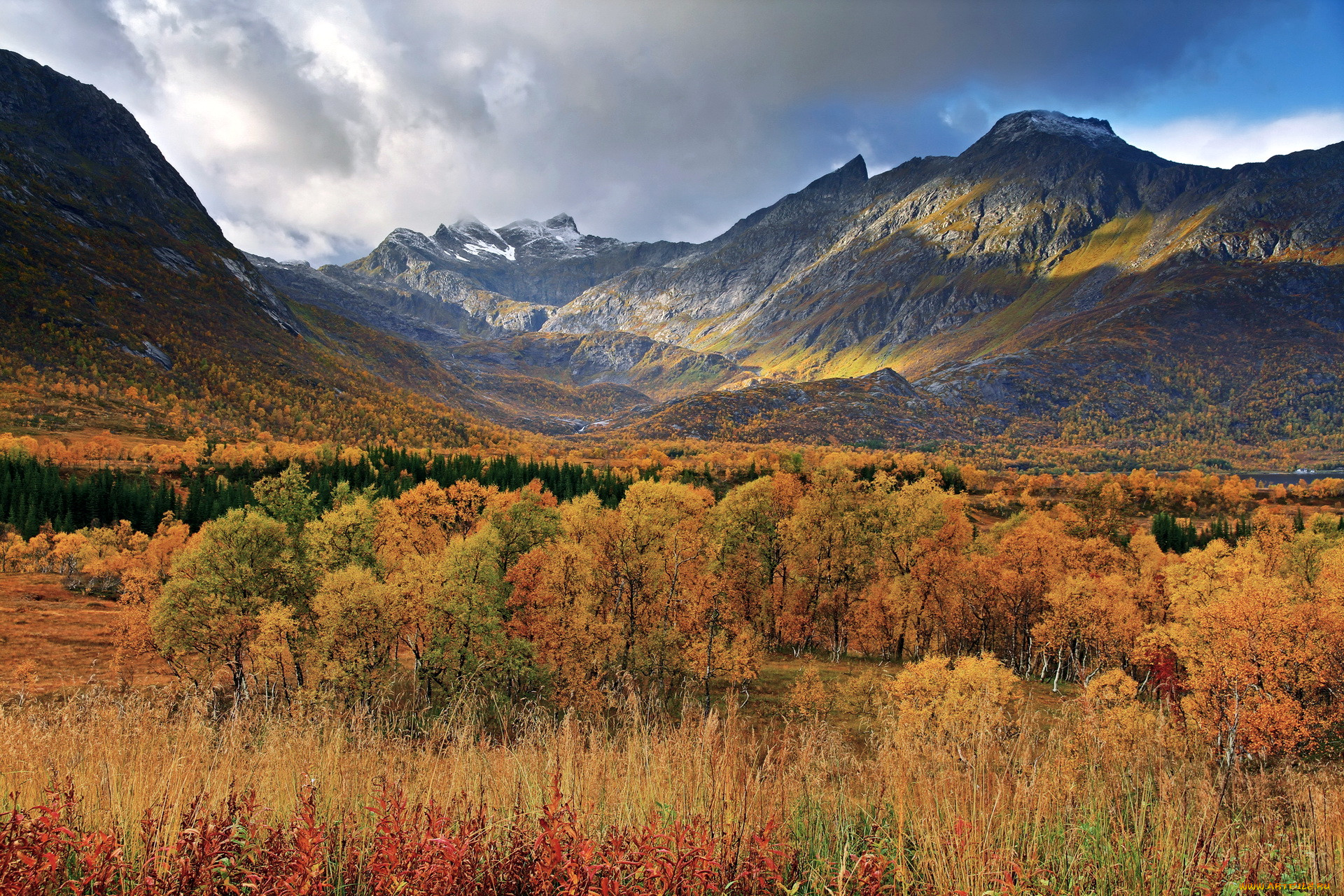 gullesfjordbotn, , , 